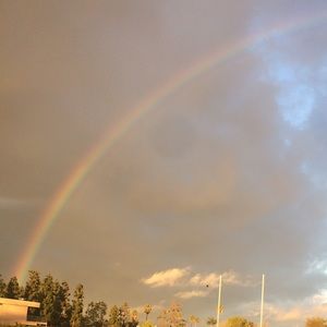 Meet your Posher, Ivette